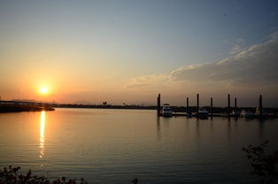 开云体育平台-千帆竞发，轻艇马拉松点亮湖滨赛场，赛艇马拉松多少公里